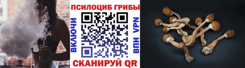 Купить  Светлый  Галлюциногенные грибы MAGIC MUSHROOMS 
